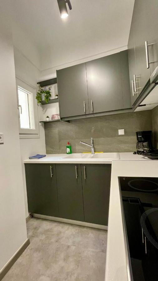 Gorgeous Renovated Apt. Close To Metro And Cultural Sites! Athens Exterior photo